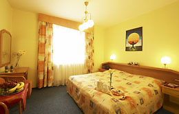 Henrietta hotel room