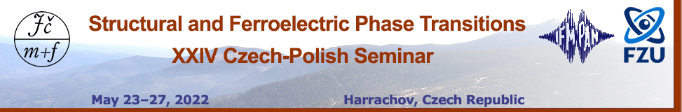 Czech-Polish seminar banner