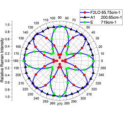 fig
